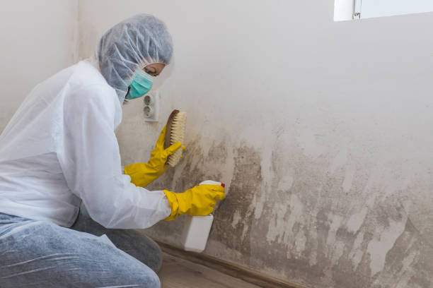 Best Attic Mold Removal  in Riverbank, CA
