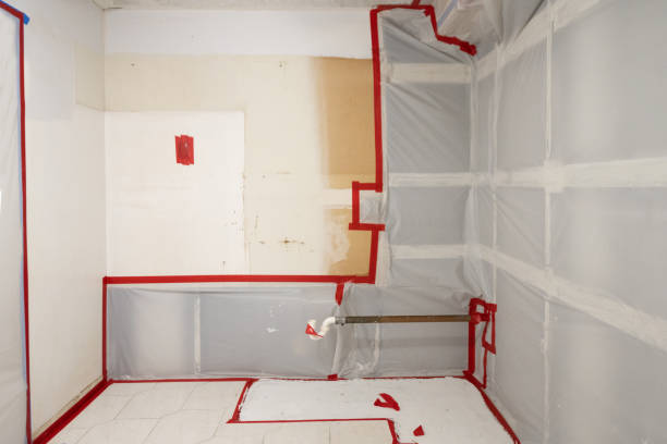 Best Black Mold Removal  in Riverbank, CA