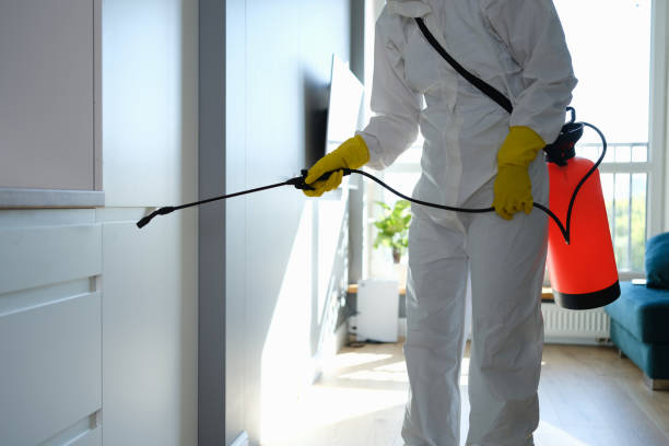 Forensic Mold Investigation in Riverbank, CA