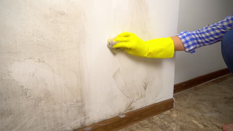 Riverbank, CA Mold Removal Company