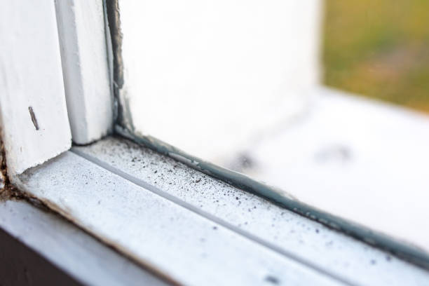 Dehumidification Services in Riverbank, CA