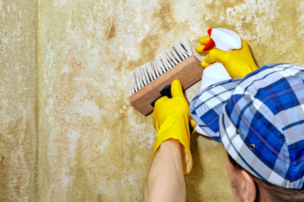 Best Commercial Mold Inspection  in Riverbank, CA