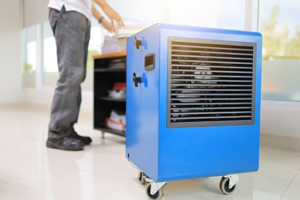  Riverbank, CA Mold Removal Pros