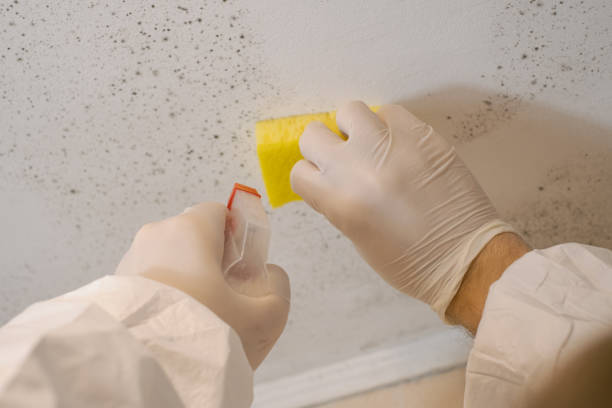 Best Air Quality Testing for Mold Spores  in Riverbank, CA