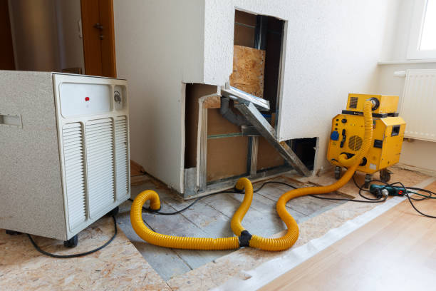 Best Environmental Consulting for Mold Prevention  in Riverbank, CA