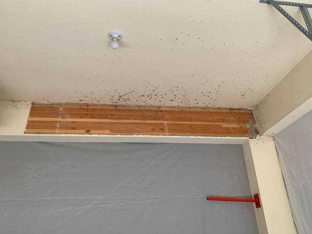 Best Mold Remediation for Healthcare Facilities  in Riverbank, CA
