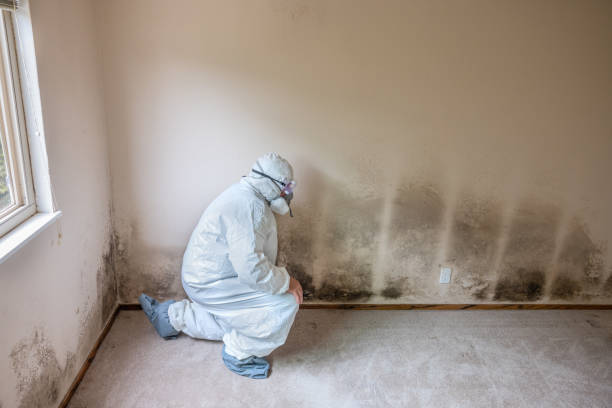 Best Forensic Mold Investigation  in Riverbank, CA