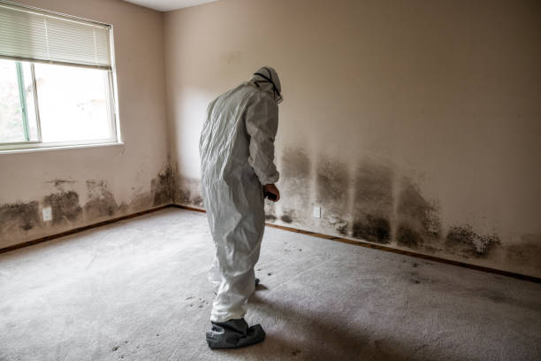 Best Biohazard Mold Removal  in Riverbank, CA