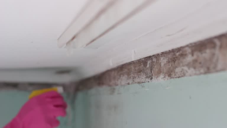 Best Asbestos and Lead Testing During Mold Inspection  in Riverbank, CA